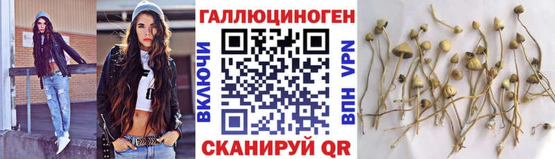 mega ССЫЛКА  наркошоп  Спасск-Дальний  Галлюциногенные грибы мицелий 